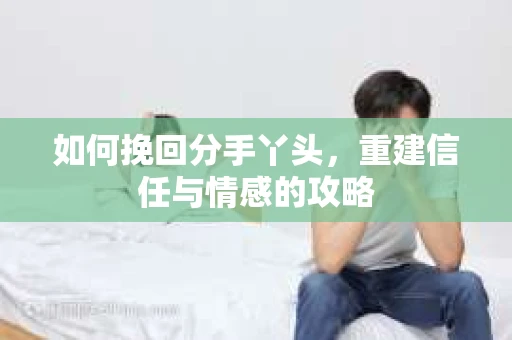 如何挽回分手丫头，重建信任与情感的攻略