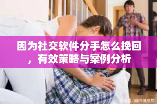 因为社交软件分手怎么挽回，有效策略与案例分析