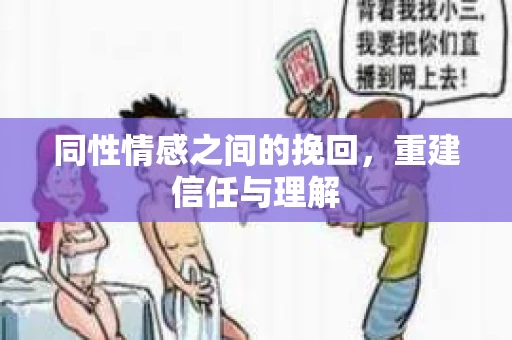同性情感之间的挽回，重建信任与理解