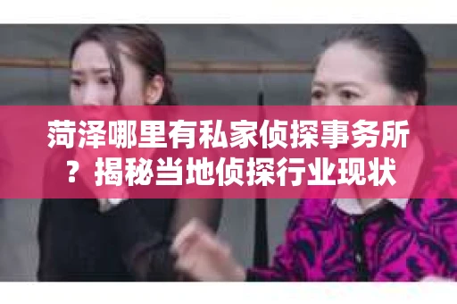 菏泽哪里有私家侦探事务所？揭秘当地侦探行业现状