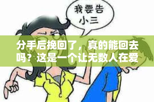 分手后挽回了，真的能回去吗？这是一个让无数人在爱情路上徘徊不定的问题。在本文中，我们将深入探讨分手后的挽回可能性，帮助大家更好地理解这一复杂情感问题