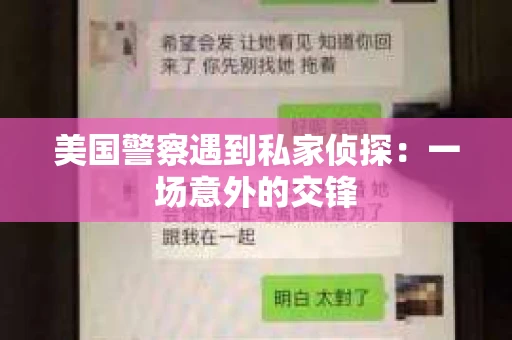 美国警察遇到私家侦探：一场意外的交锋