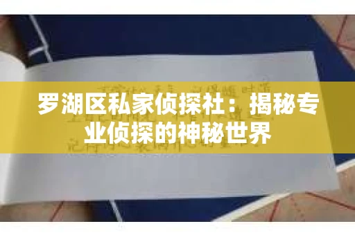 罗湖区私家侦探社：揭秘专业侦探的神秘世界
