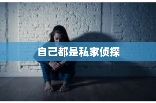 自己都是私家侦探