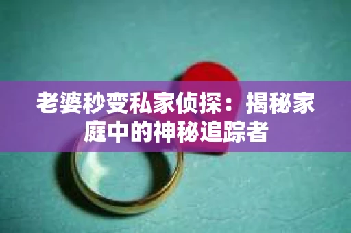 老婆秒变私家侦探：揭秘家庭中的神秘追踪者