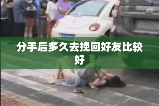 分手后多久去挽回好友比较好