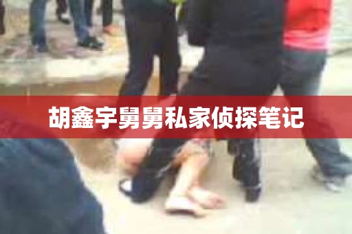 胡鑫宇舅舅私家侦探笔记
