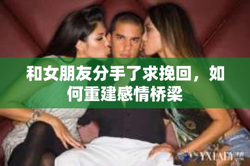 和女朋友分手了求挽回，如何重建感情桥梁