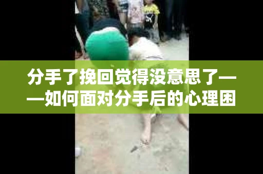 分手了挽回觉得没意思了——如何面对分手后的心理困境