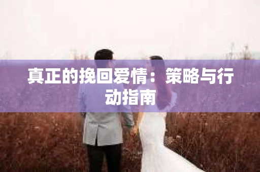 真正的挽回爱情：策略与行动指南