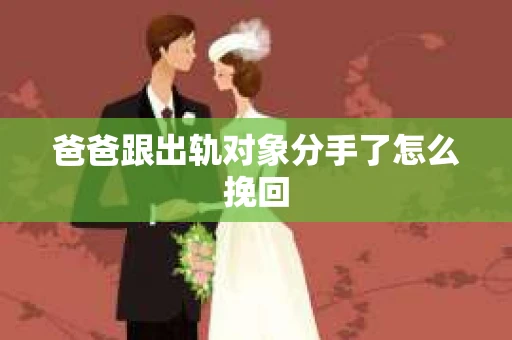 爸爸跟出轨对象分手了怎么挽回