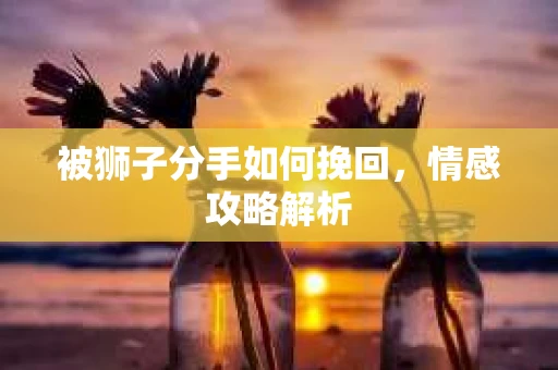 被狮子分手如何挽回，情感攻略解析