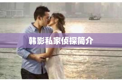 韩影私家侦探简介
