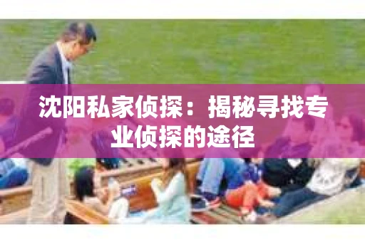沈阳私家侦探：揭秘寻找专业侦探的途径