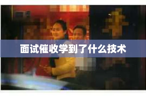 面试催收学到了什么技术