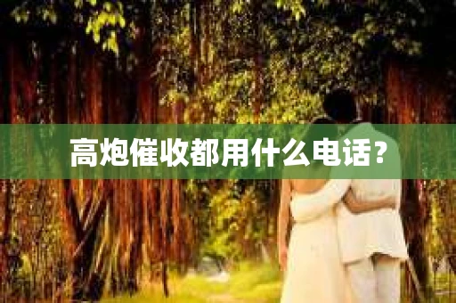 高炮催收都用什么电话？