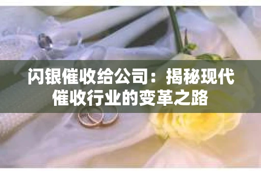 闪银催收给公司：揭秘现代催收行业的变革之路