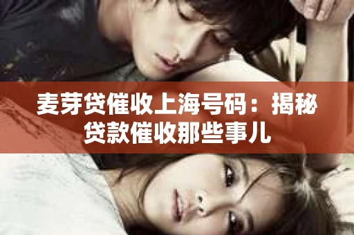 麦芽贷催收上海号码：揭秘贷款催收那些事儿
