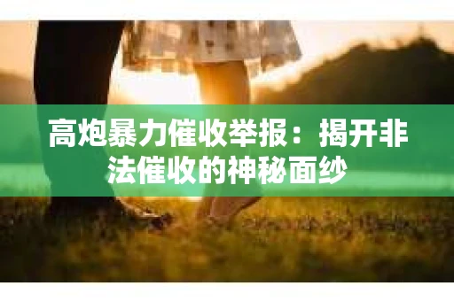 高炮暴力催收举报：揭开非法催收的神秘面纱