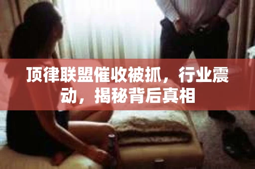 顶律联盟催收被抓，行业震动，揭秘背后真相