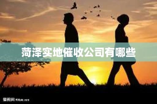 菏泽实地催收公司有哪些
