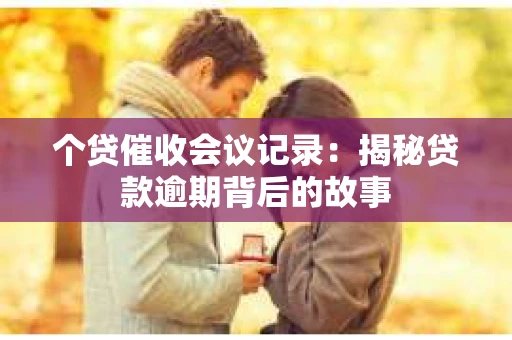 个贷催收会议记录：揭秘贷款逾期背后的故事