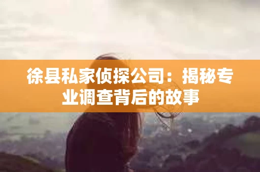 徐县私家侦探公司：揭秘专业调查背后的故事