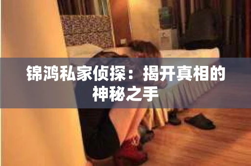 锦鸿私家侦探：揭开真相的神秘之手