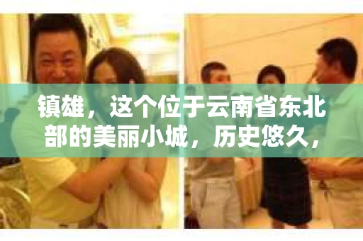 镇雄，这个位于云南省东北部的美丽小城，历史悠久，文化底蕴深厚。然而，随着社会的发展，人们的生活节奏加快，各种问题也随之而来。有人可能会好奇，镇雄有没有私家侦探呢？今天，我就来和大家聊聊这个话题。