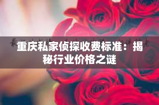 重庆私家侦探收费标准：揭秘行业价格之谜