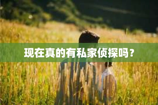 现在真的有私家侦探吗？