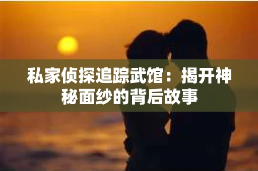 私家侦探追踪武馆：揭开神秘面纱的背后故事