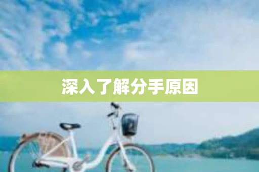 深入了解分手原因