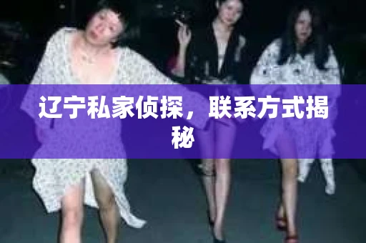 辽宁私家侦探，联系方式揭秘