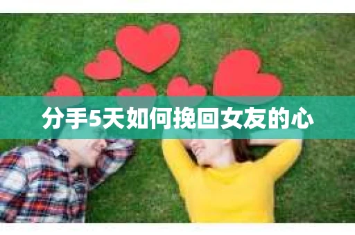 分手5天如何挽回女友的心