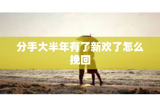 分手大半年有了新欢了怎么挽回