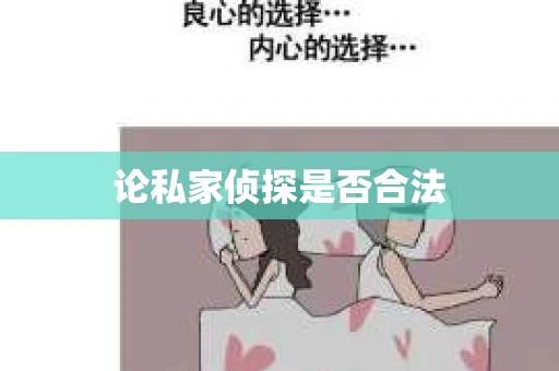 论私家侦探是否合法