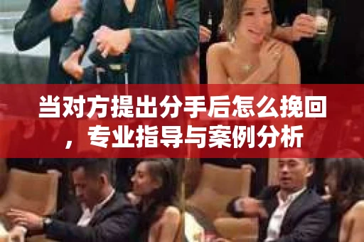 当对方提出分手后怎么挽回，专业指导与案例分析