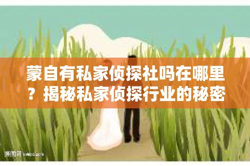 蒙自有私家侦探社吗在哪里？揭秘私家侦探行业的秘密角落