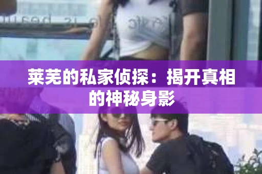 莱芜的私家侦探：揭开真相的神秘身影