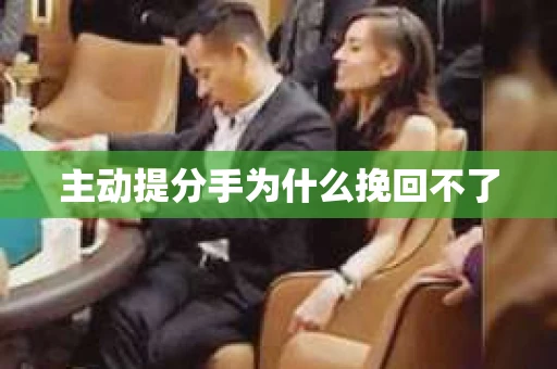 主动提分手为什么挽回不了