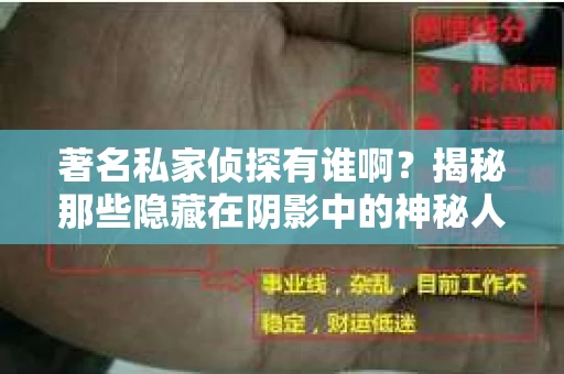 著名私家侦探有谁啊？揭秘那些隐藏在阴影中的神秘人物